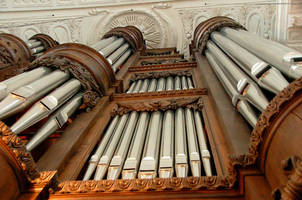 Orgel