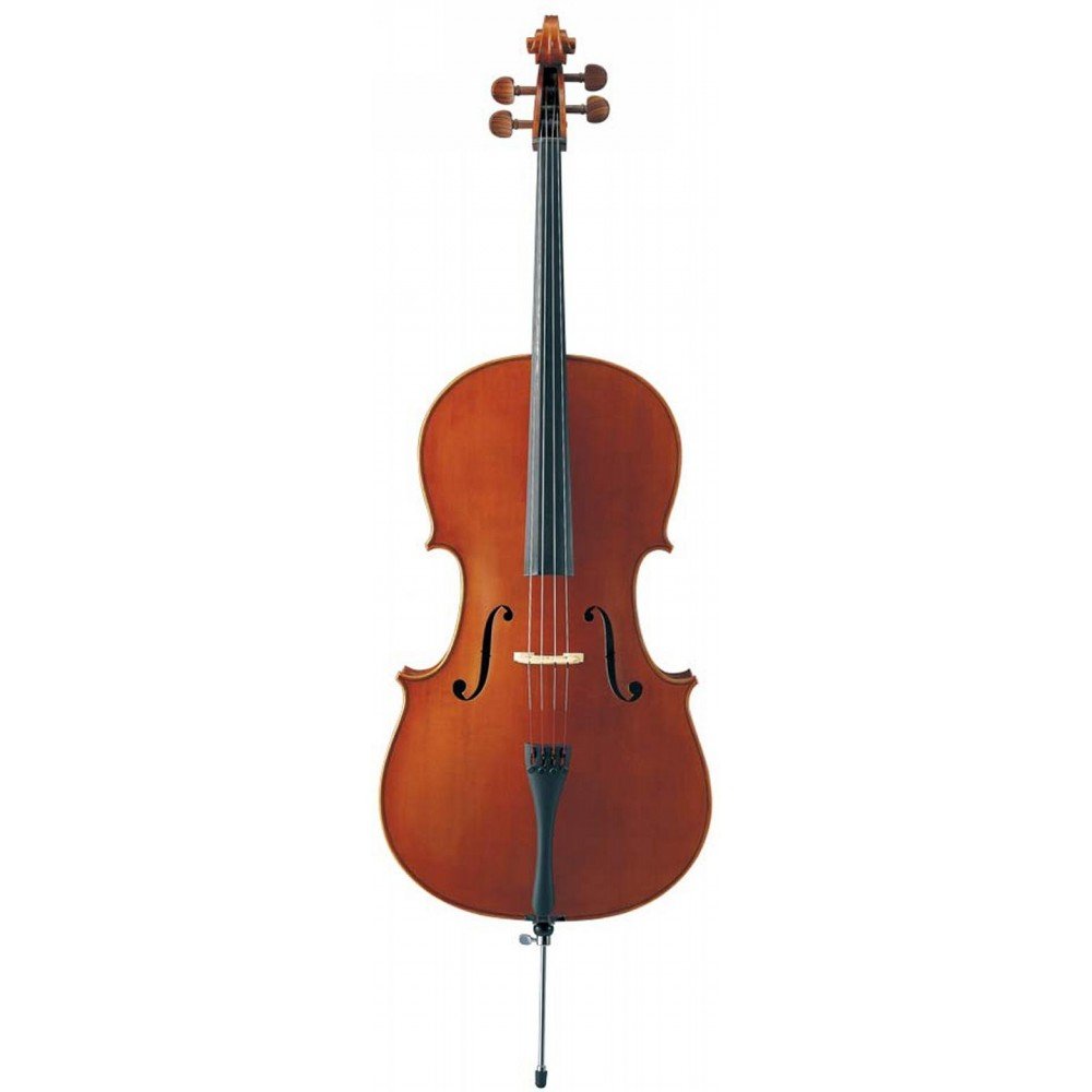 Cello – Violoncello