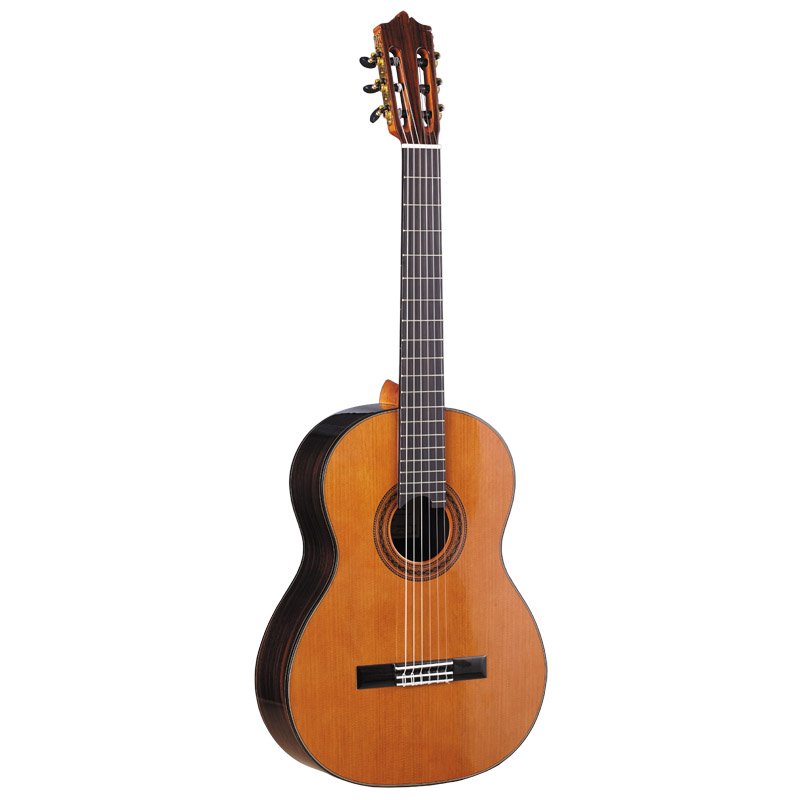 Gitarre